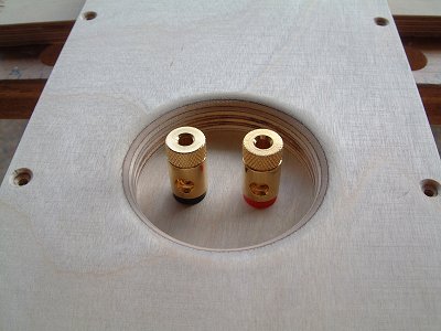 View of the rear panel connections
(24K)