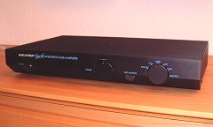 Front view of the David (7kB)